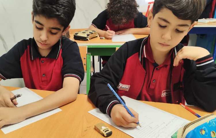 مطالعات اجتماعی