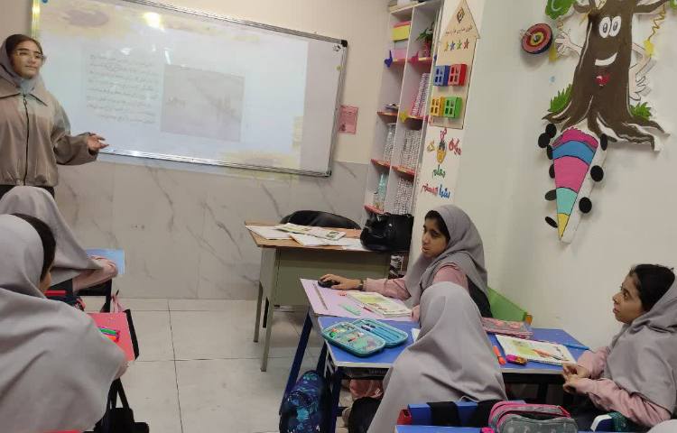 مطالعات اجتماعی