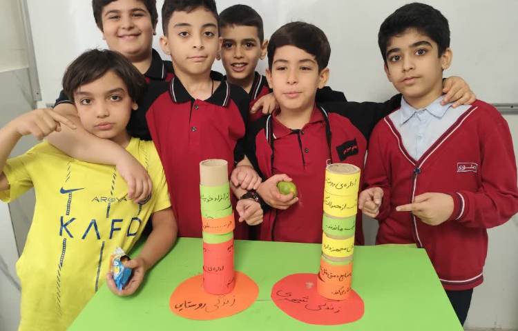 مطالعات اجتماعی