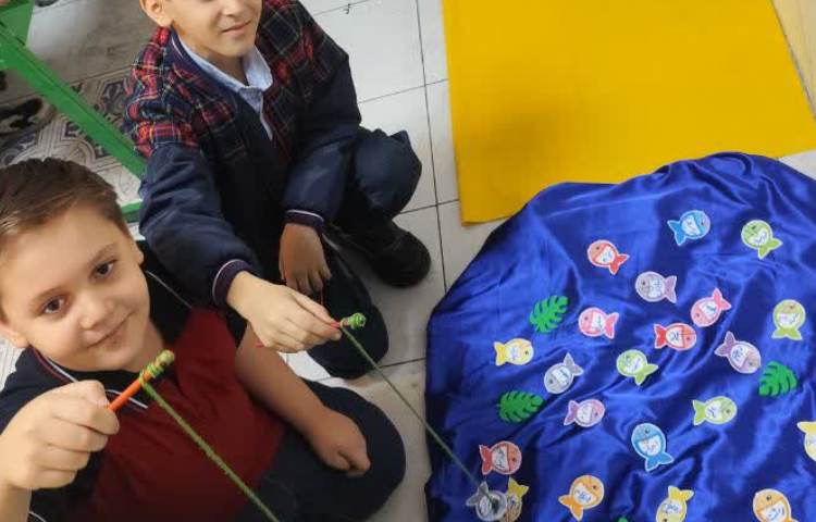 مطالعات اجتماعی