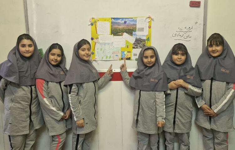 مطالعات اجتماعی