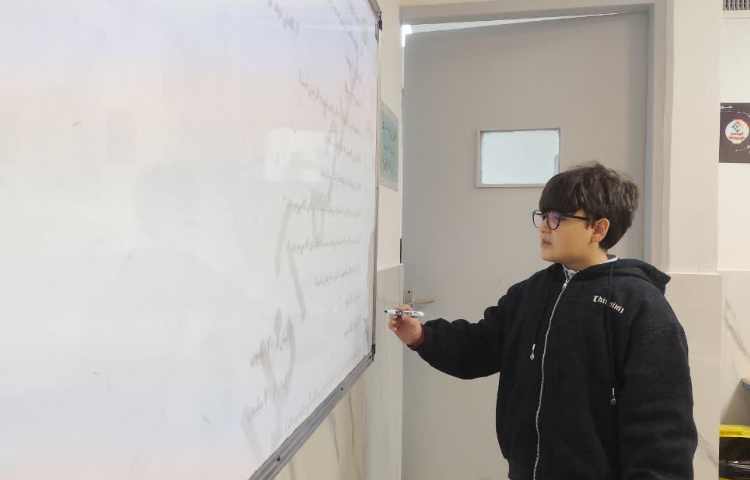 مطالعات اجتماعی