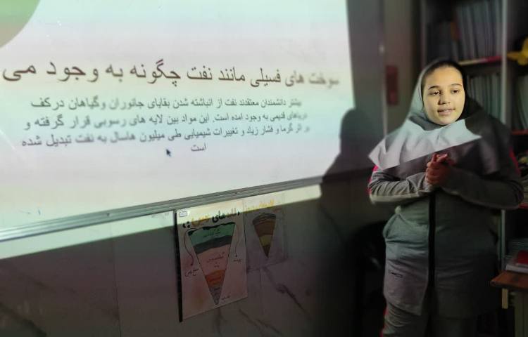 مطالعات اجتماعی