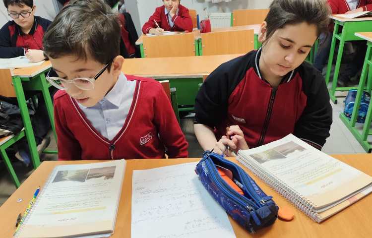 مطالعات اجتماعی