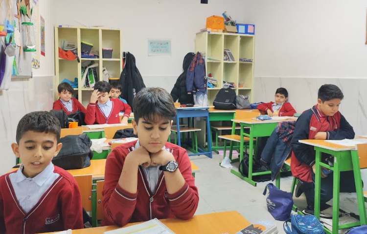 مطالعات اجتماعی