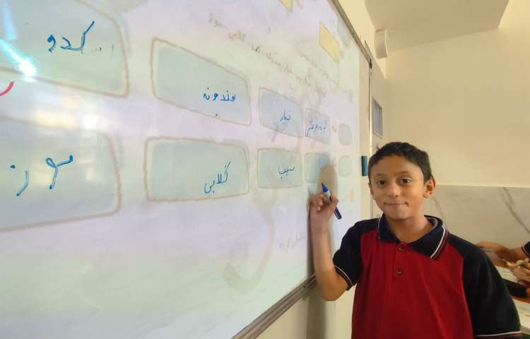 مطالعات اجتماعی