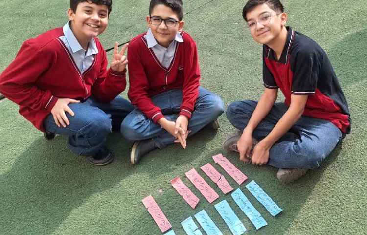 مطالعات اجتماعی