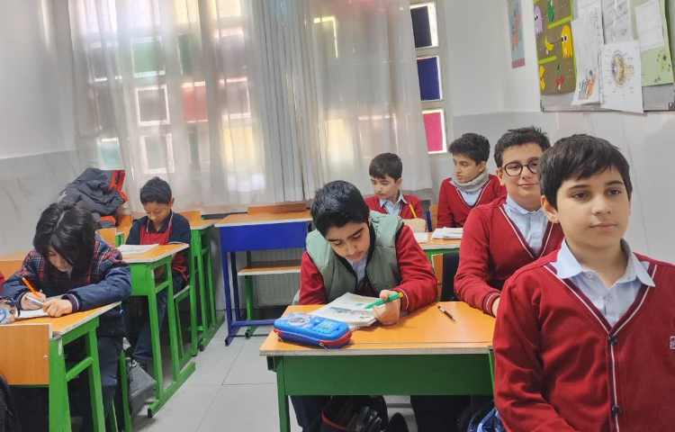 مطالعات اجتماعی