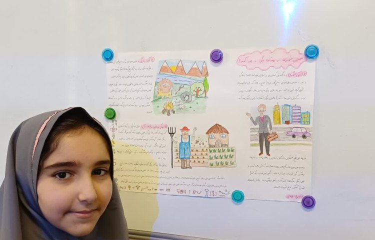 مطالعات اجتماعی