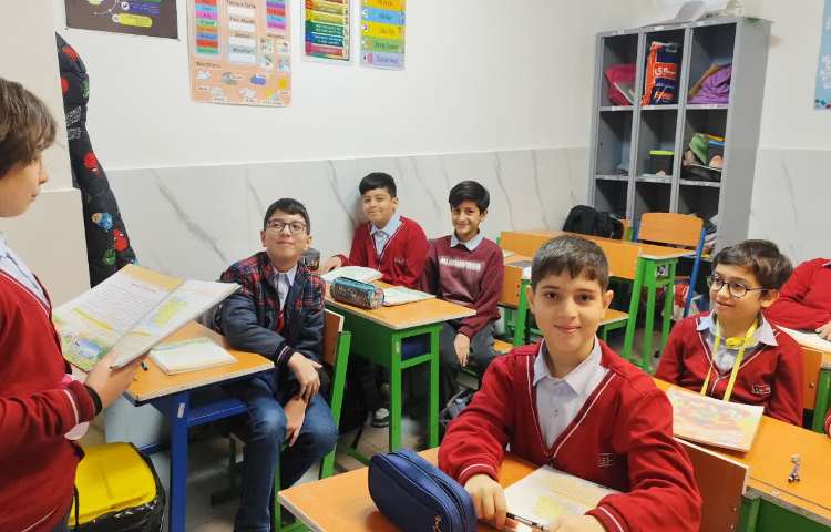 مطالعات اجتماعی