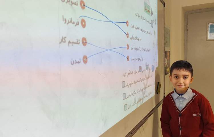 مطالعات اجتماعی