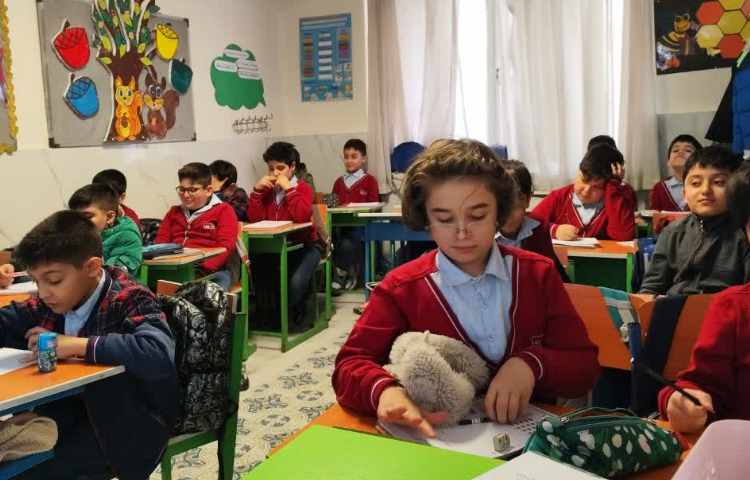 مطالعات اجتماعی