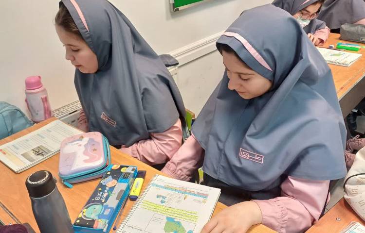 مطالعات اجتماعی