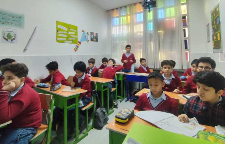 مطالعات اجتماعی