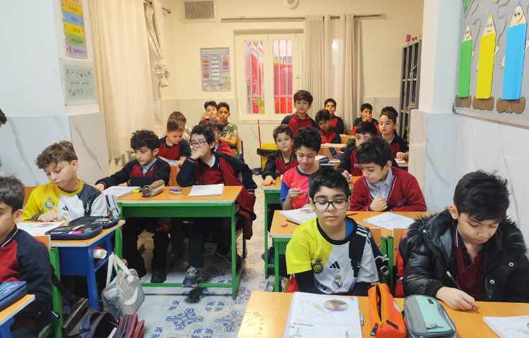 مطالعات اجتماعی