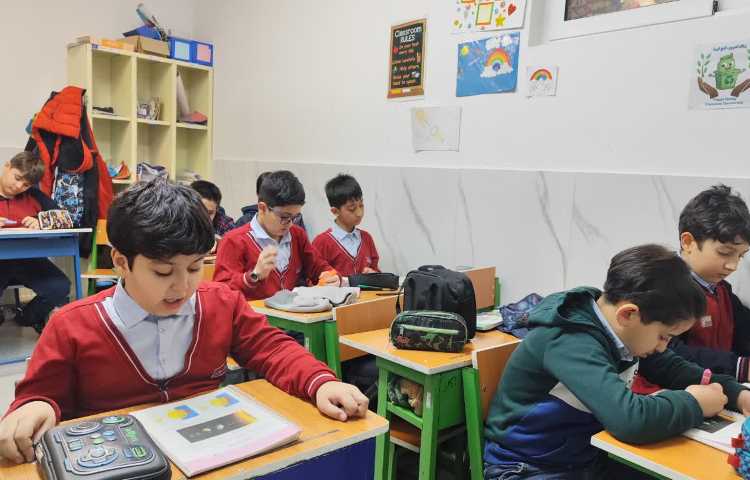 مطالعات اجتماعی