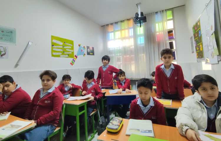 مطالعات اجتماعی