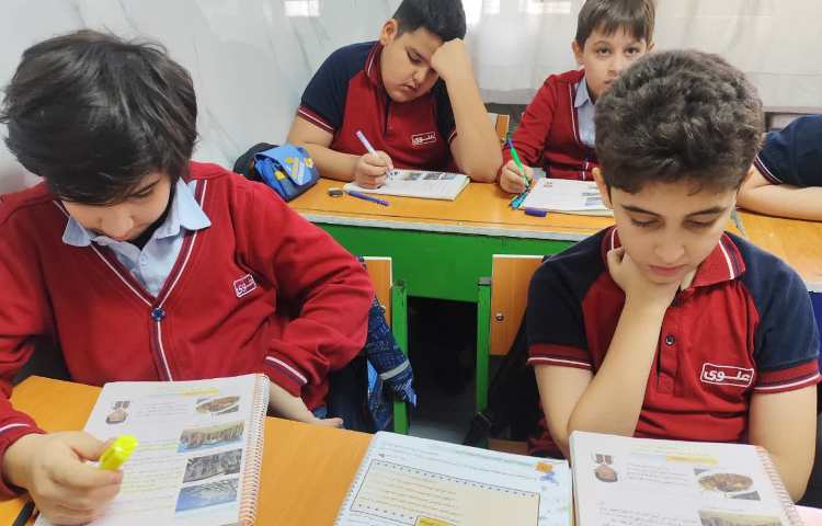 مطالعات اجتماعی