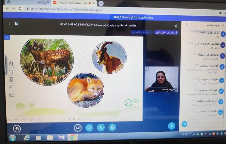 مطالعات اجتماعی