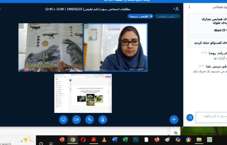مطالعات اجتماعی