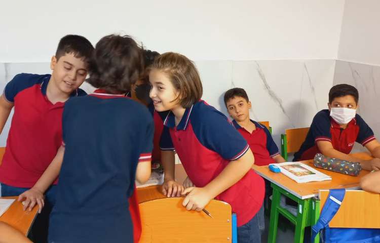 مطالعات اجتماعی