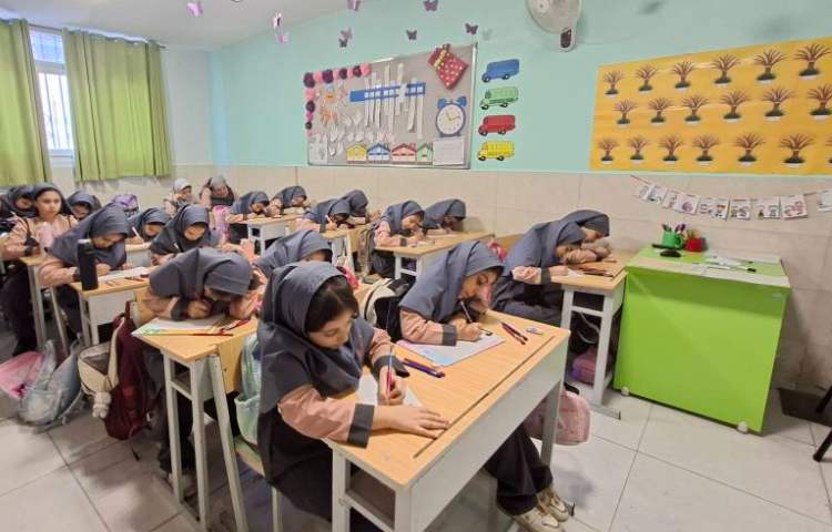 مطالعات اجتماعی
