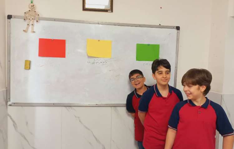 مطالعات اجتماعی