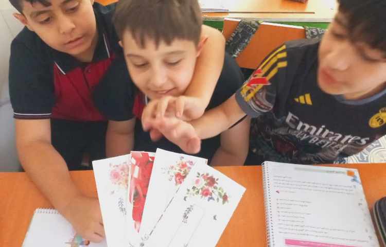 مطالعات اجتماعی