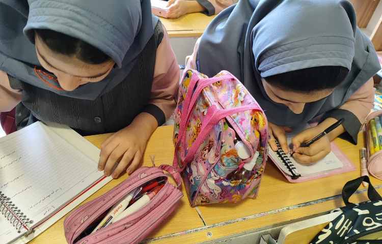 مطالعات اجتماعی