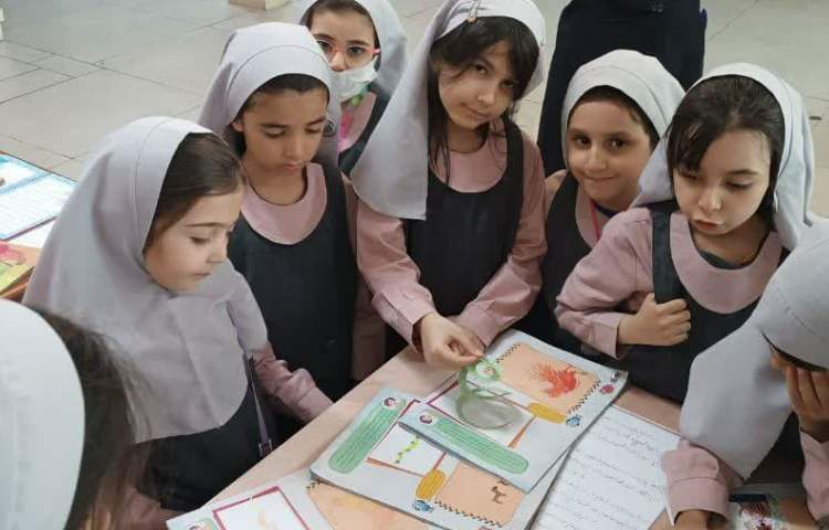 معاون آموزش 4