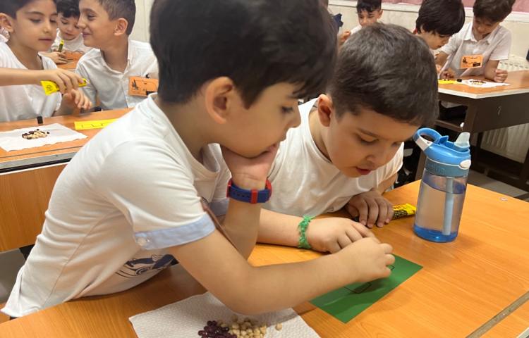 مفاهیم اولیه ریاضی (آشنایی با خطوط) زنگ ریاضی 2