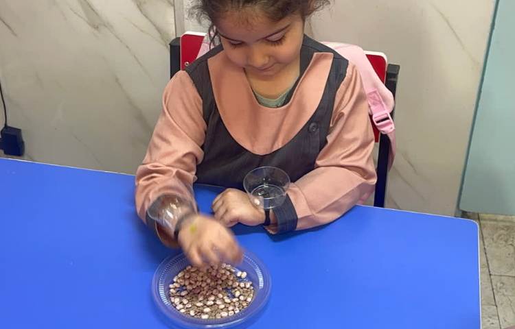 مفاهیم ریاضی