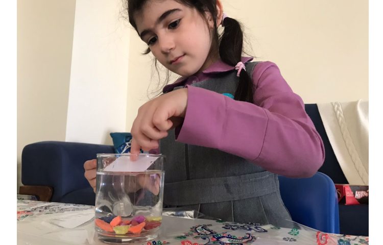 مفاهیم علوم:آزمایش سبک و سنگین و حلال و حل شونده در کلاس آنلاین 2