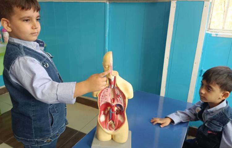 مفاهیم علوم : آشنایی با اعضای داخلی و بیرونی بدن 2