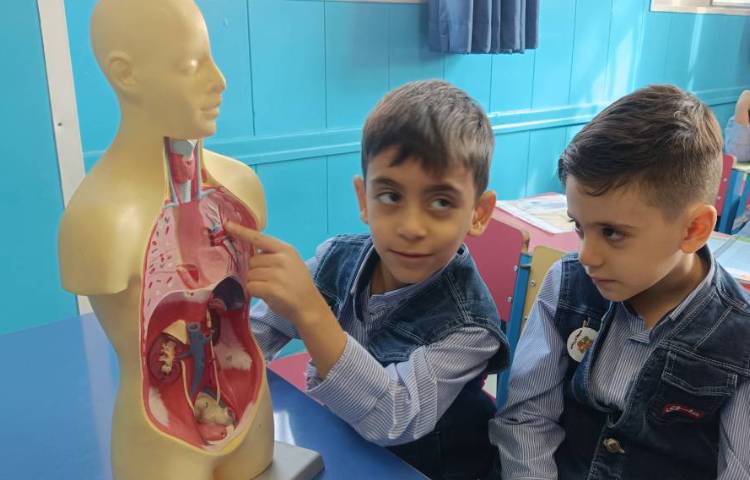 مفاهیم علوم : آشنایی با اعضای داخلی و بیرونی بدن