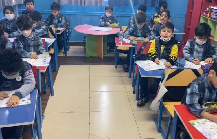 :مفاهیم علوم، آموزش حشرات، خزندگان، آبزیان 2