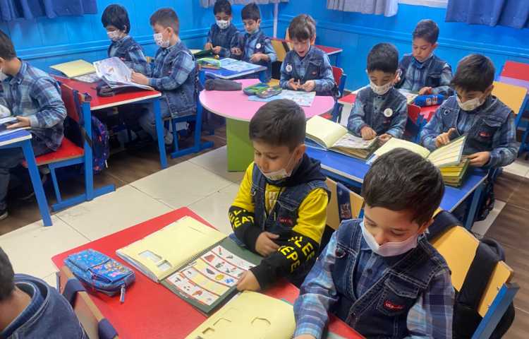 :مفاهیم علوم آموزش گیاهان، کلاس قاصدک