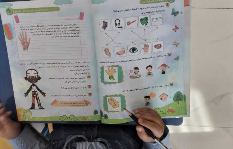 مفاهیم علوم( اعضای بدن ) 2