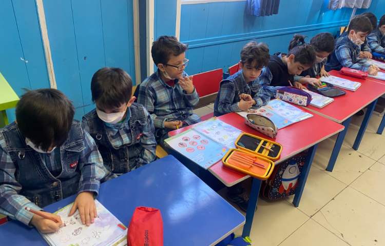 :مفاهیم علوم، مراحل رشد موجودات زنده 1