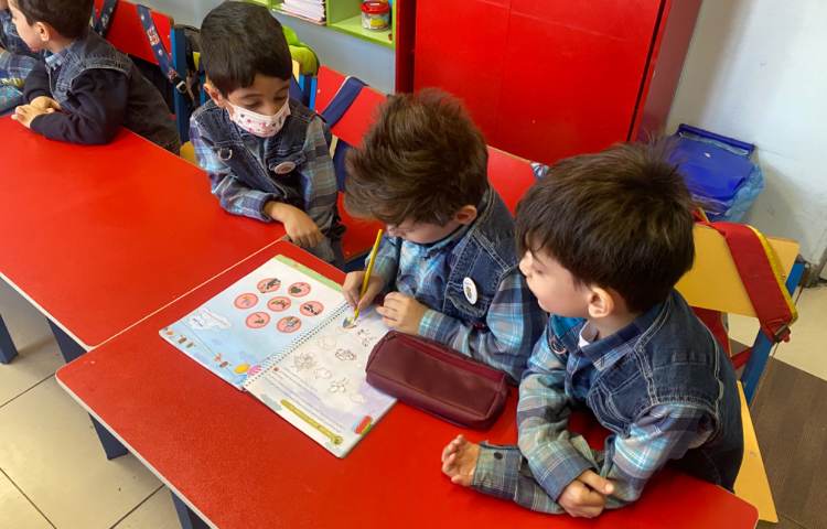 :مفاهیم علوم، مراحل رشد موجودات زنده 3