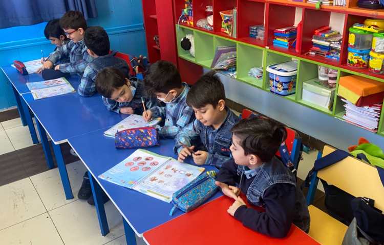 :مفاهیم علوم، مراحل رشد موجودات زنده 4