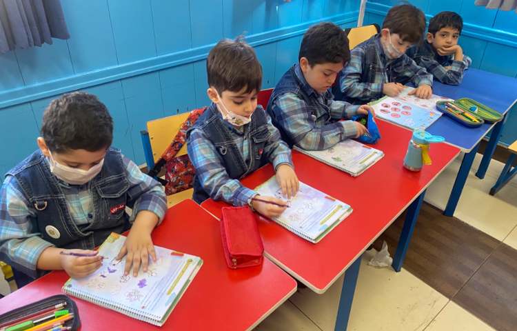 :مفاهیم علوم، مراحل رشد موجودات زنده