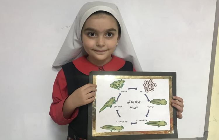 مفاهیم علوم 1