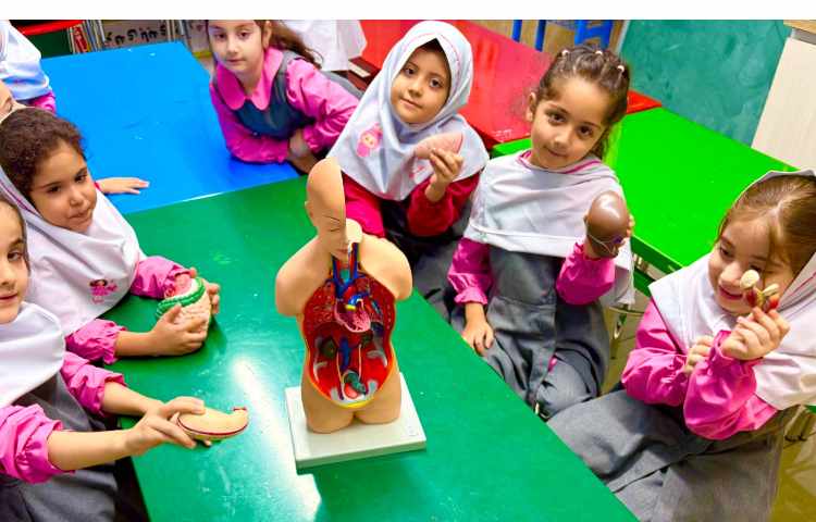 مفاهیم علوم 3