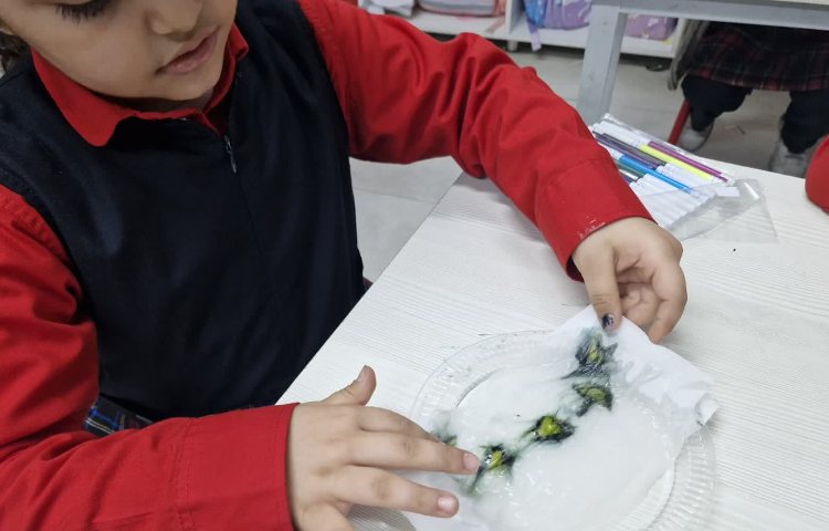 مفاهیم علوم 7