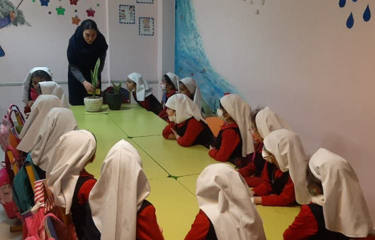 مفاهیم علوم