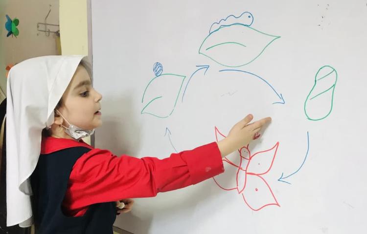 مفاهیم علوم