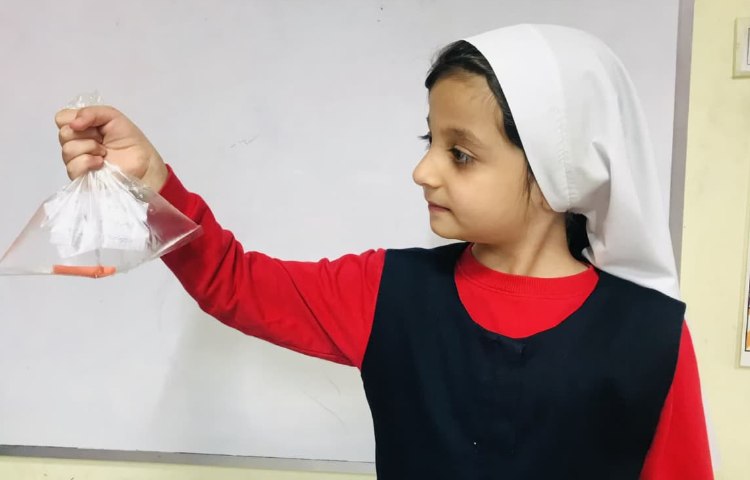 مفاهیم علوم