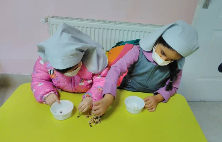 مفاهیم نوشتاری:جدا کردن حبوباب با موچین با هدف تقویت مهارت دست ورزی انجام شد. 2