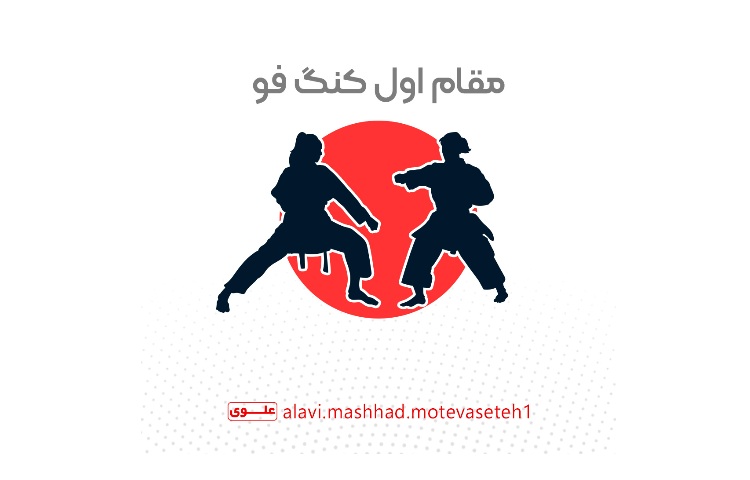 مقام اول کنگ فو 1
